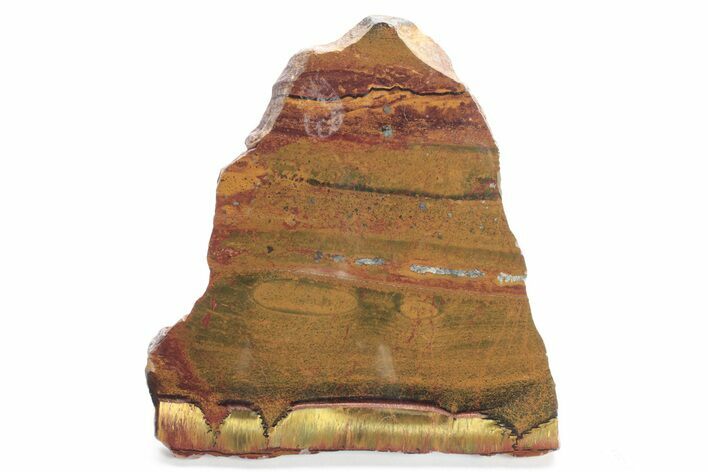 Polished Packsaddle Tiger Eye Slab - Western Australia #225067